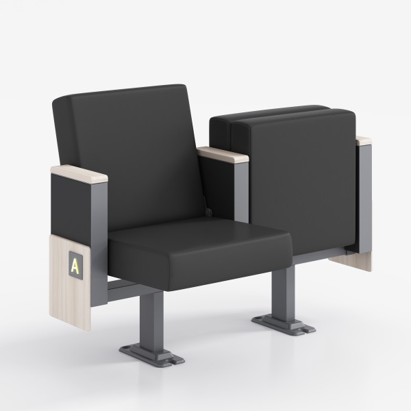 Business Theater Seating