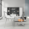 T Hot Sale Luxury Office Table Steel Leg Computer Table Office Furniture Modern Wooden Office Desk