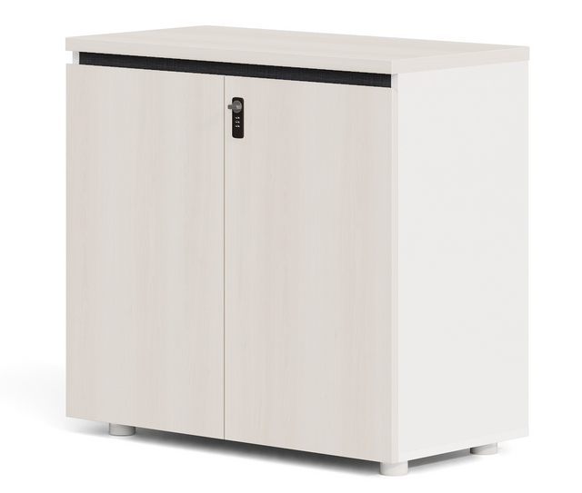 Lockable Office File Documents Storage Cabinet With Digital Lock uv viewing cabinet